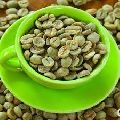 Arabica Plantation PB Green Coffee Beans