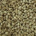 Monsooned Malabar AA  Green Coffee Beans