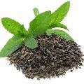 Organic green tea