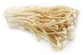 Enoki Mushroom