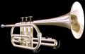 White Brass Trumpet