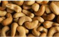 Curve Brown roasted cashew nut