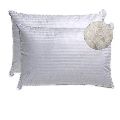 17 x 27inch Classic Cotton Pillow