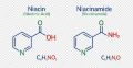 Niacin + Niacinamide