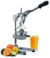 Stainless Steel Fruit Juicer