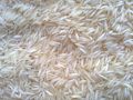 Organic White Soft 1509 steam basmati rice