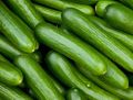 Green fresh cucumber