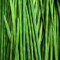 Green Organic Fresh Drumsticks