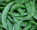 Green Organic Fresh Flat Beans