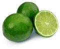 Round Organic Fresh Green Lemon