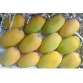 Organic Fresh Kesar Mango