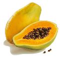 Organic fresh papaya