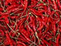 Dark Red Organic red chilli
