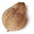 Organic semi husked coconut