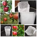 Non Woven Apple Fruit Crop Cover