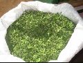 Green Moringa Dried Leaves