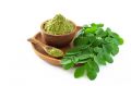 moringa leaves powder