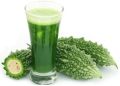 Green Liquid Karela Juice