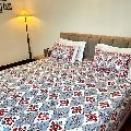 Mughal Poppy Red Grey Bedsheets