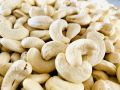 Cashew Nut W240