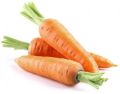 Natural Orange Red Fresh Carrot