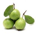 Natural fresh guava