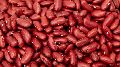 Organic Red baked kidney beans