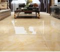 Square Vitrified Floor Tiles