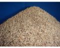 organic cumin seeds