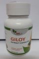 Giloy Extract Capsules