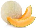 fresh muskmelon