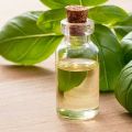 Organic Liquid Basil Oil