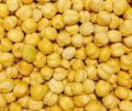 White Chickpea