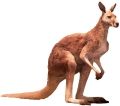 Fiber Kangaroo Statue