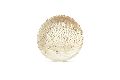 Edit Envome Areca Palm Leaf Plate - 10&amp;quot; Round Plate
