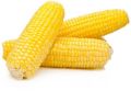 yellow corn