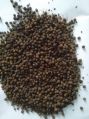 black pepper seeds