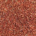 Dark Red finger millet seeds