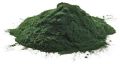 Chlorella Powder