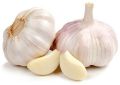 Organic Off White fresh garlic
