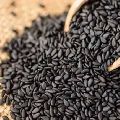 Sortex Clean Black Sesame Seeds