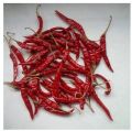 Plow Dry Red Chilli