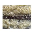 Non Basmati Rice - Ir64 Parboiled Rice Exporter