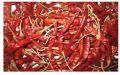 Teja Dry Red Chilli - Exporters India