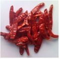 Teja Stemless Dried Red Chilli Supplier