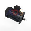 Paddle Wheel Aerator Motor