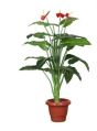 Artificial Anthurium Plant
