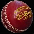 Leather Cricket Spin Ball