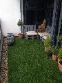 Indoor Gardening Service