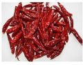 dry Stemless red chilli suppliers from India